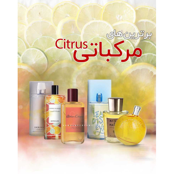 برترین عطر و ادکلن های مرکباتی برترین عطر و ادکلن های مرکباتی