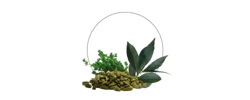 عطرهای ادویه ای ملایم