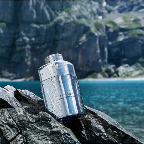 بنتلی  فور من سیلورلیک مردانه - BENTLEY For Men Silverlake