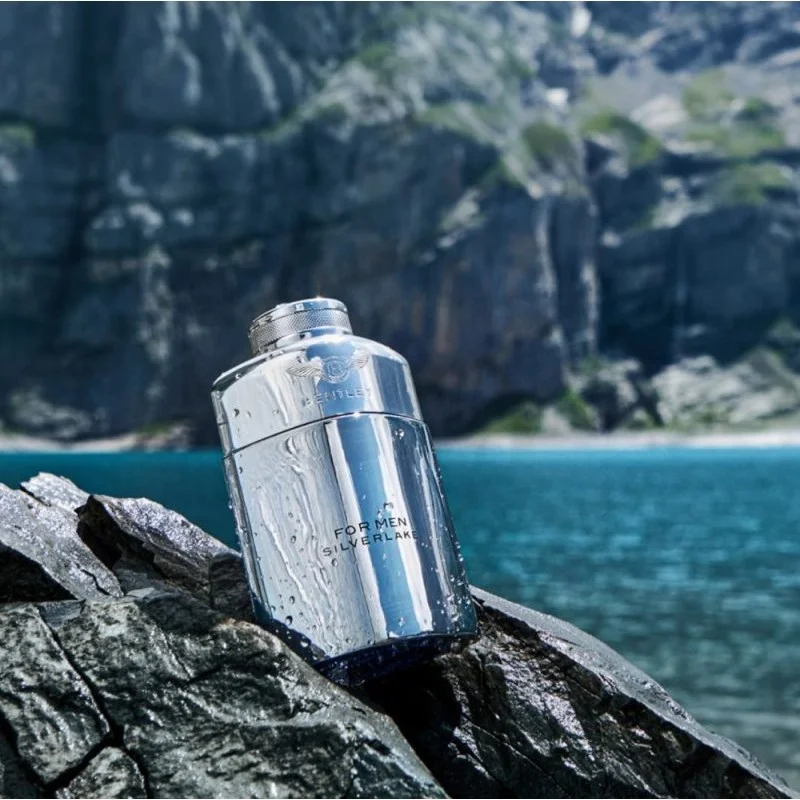 بنتلی فور من سیلورلیک مردانه - BENTLEY For Men Silverlake بنتلی فور من سیلورلیک مردانه - BENTLEY For Men Silverlake