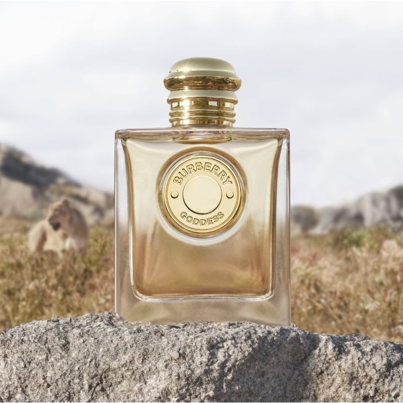 بربری گادس زنانه - BURBERRY Goddess بربری گادس زنانه - BURBERRY Goddess