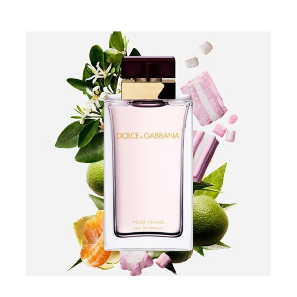 دوچله گابانا پوق فم زنانه - DOLCE & GABBANA Pour Femme دوچله گابانا پوق فم زنانه - DOLCE & GABBANA Pour Femme