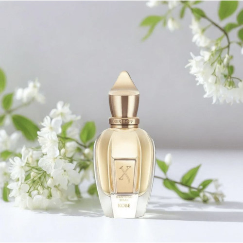 زرجوف کوبه مردانه - XERJOFF Kobe زرجوف کوبه مردانه - XERJOFF Kobe