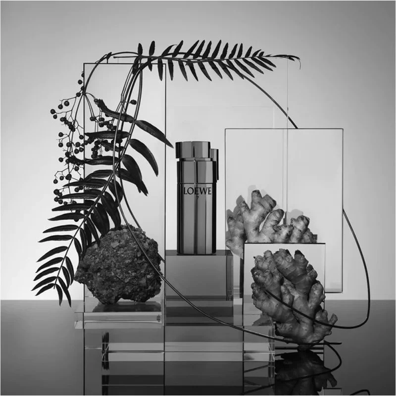 لووه 7 پلاتا مردانه - LOEWE 7 Plata