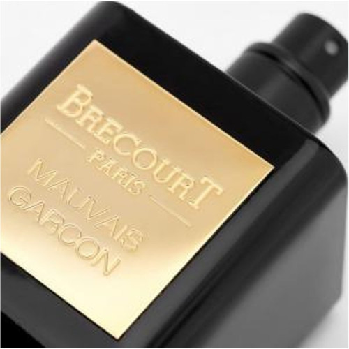 برکورت مویز گارسون مردانه - BRECOURT Mauvais Garcon برکورت مویز گارسون مردانه - BRECOURT Mauvais Garcon