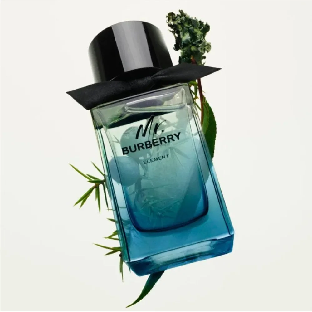 بربری مستر باربری المنت مردانه - BURBERRY Mr burberry Element