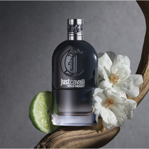 روبرتو کاوالی جاست کاوالی وایلد فور هیم مردانه - roberto cavalli Just Cavalli Wild Heart for Him