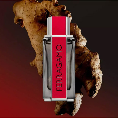 سالواتور فراگامو رد لدر مردانه - Salvatore Ferragamo Red Leather سالواتور فراگامو رد لدر مردانه - Salvatore Ferragamo Red Leather