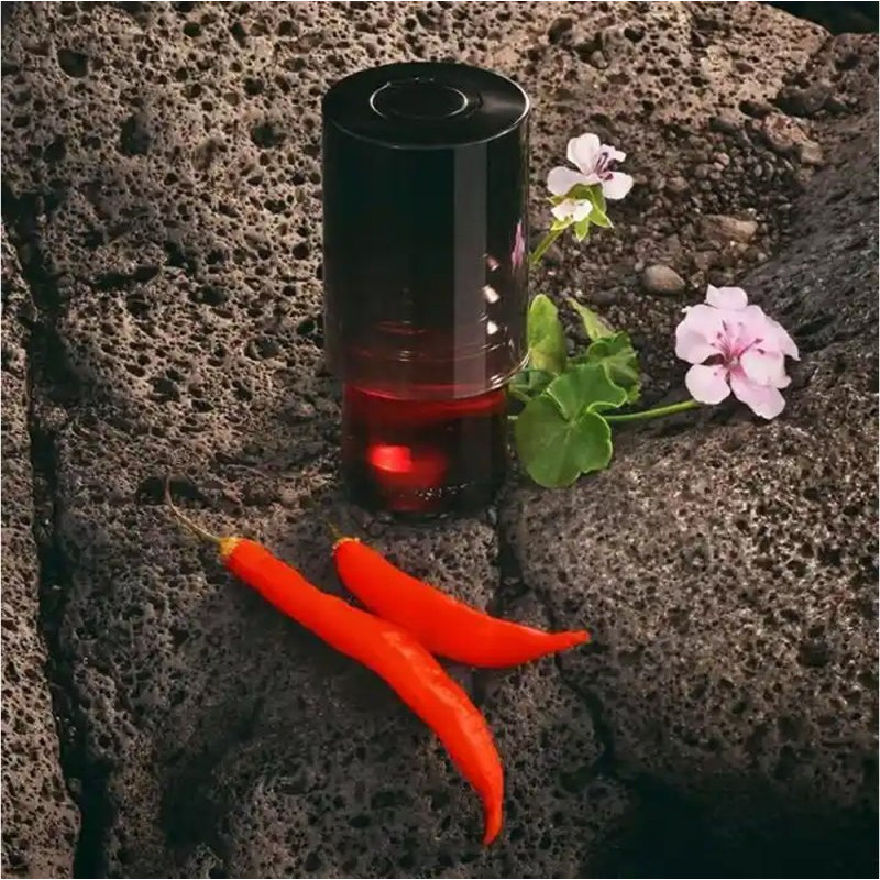 تروساردی پریمو مردانه - TRUSSARDI Primo