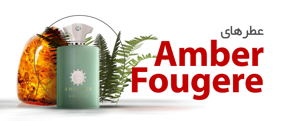 عطرهای عنبر فوژه|Amber Fougere