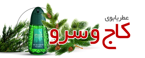 عطر با بوی کاج و سرو
