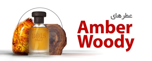 عطرهای عنبری چوبی|Amber Woody