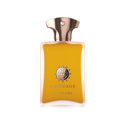 آمواج اورتور مردانه - AMOUAGE Overture Man