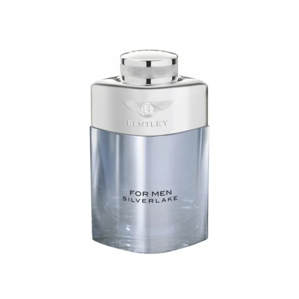 بنتلی فور من سیلورلیک مردانه - BENTLEY For Men Silverlake بنتلی فور من سیلورلیک مردانه - BENTLEY For Men Silverlake