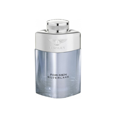 بنتلی  فور من سیلورلیک مردانه - BENTLEY For Men Silverlake