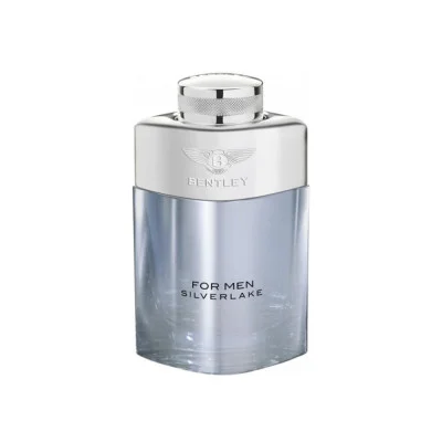 بنتلی  فور من سیلورلیک مردانه - BENTLEY For Men Silverlake