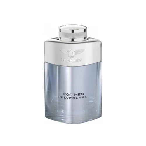 بنتلی  فور من سیلورلیک مردانه - BENTLEY For Men Silverlake