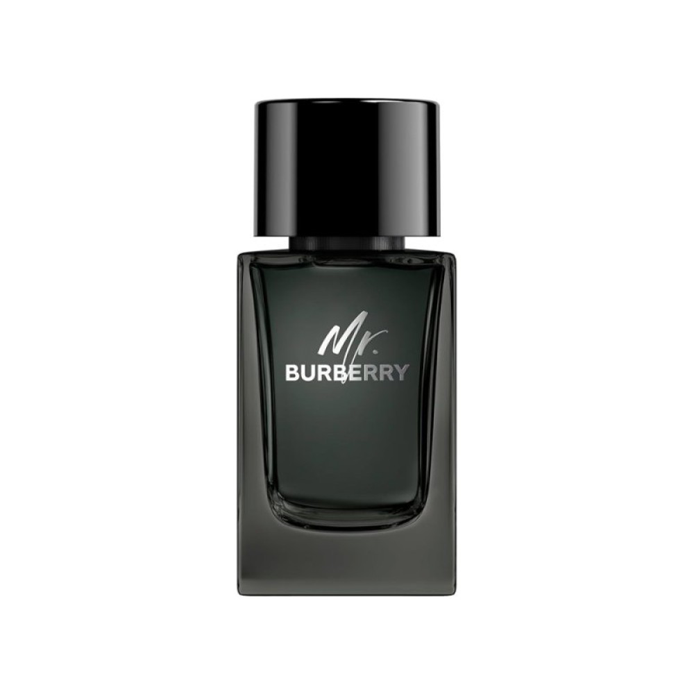 بربری مستر بربری مردانه - BURBERRY Mr Burberry EDP