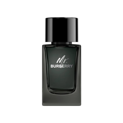 بربری مستر بربری مردانه - BURBERRY Mr Burberry EDP