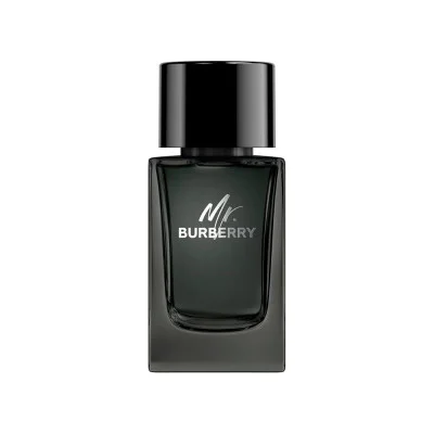 بربری مستر بربری مردانه - BURBERRY Mr Burberry EDP