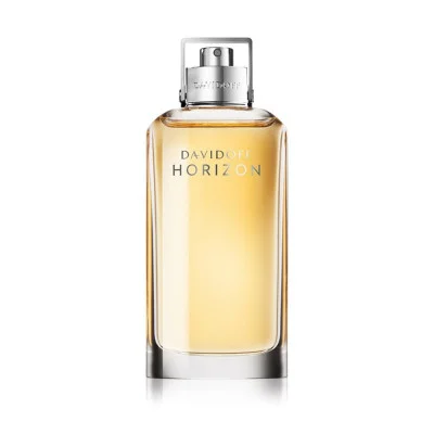 دیویدف هریزن مردانه - DAVIDOFF Horizone