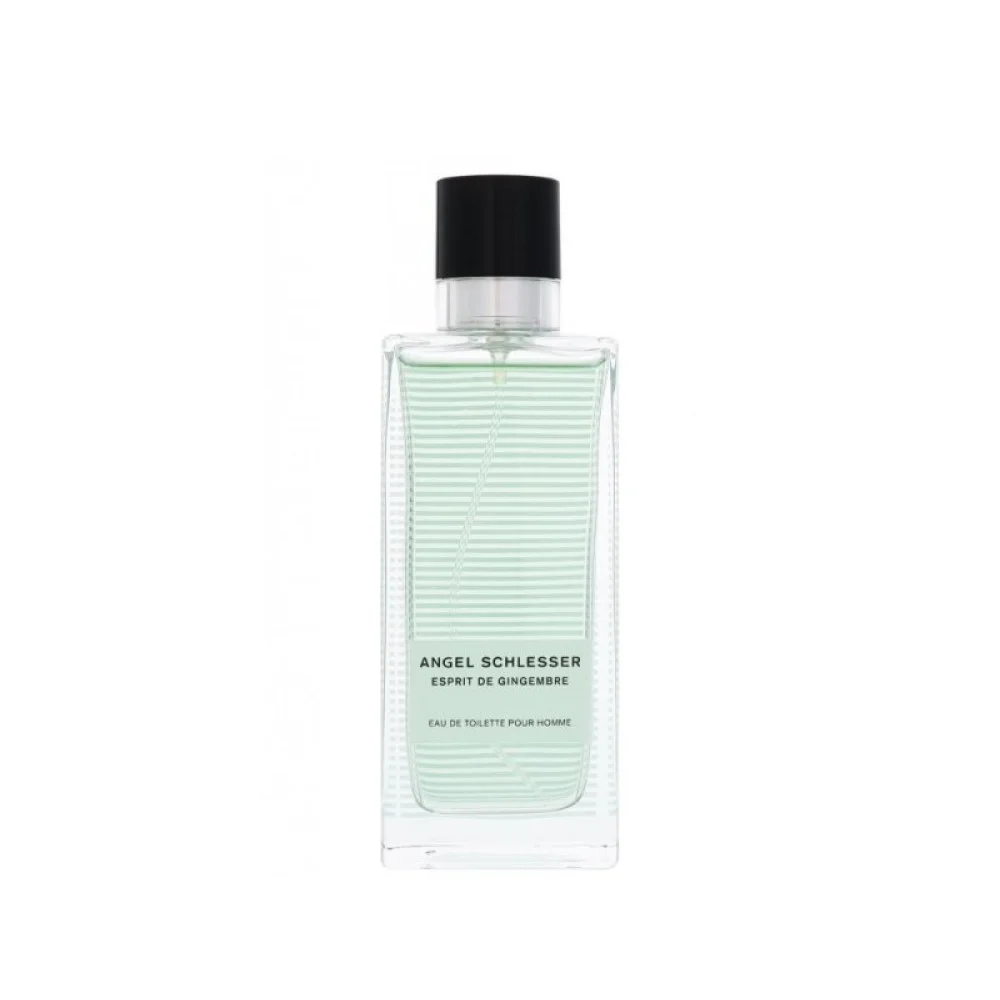 انجل شلیسر اسپریت د جینجمبر پور هوم مردانه - ANGEL SCHLESSER Esprit de Gingembre Pour Homme