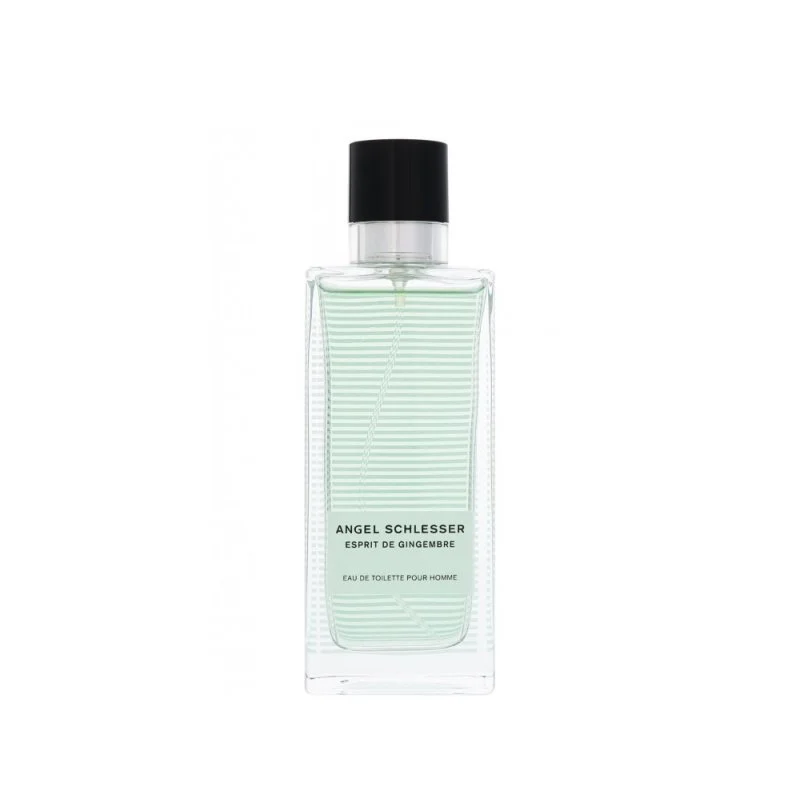 انجل شلیسر اسپریت د جینجمبر پور هوم مردانه - ANGEL SCHLESSER Esprit de Gingembre Pour Homme