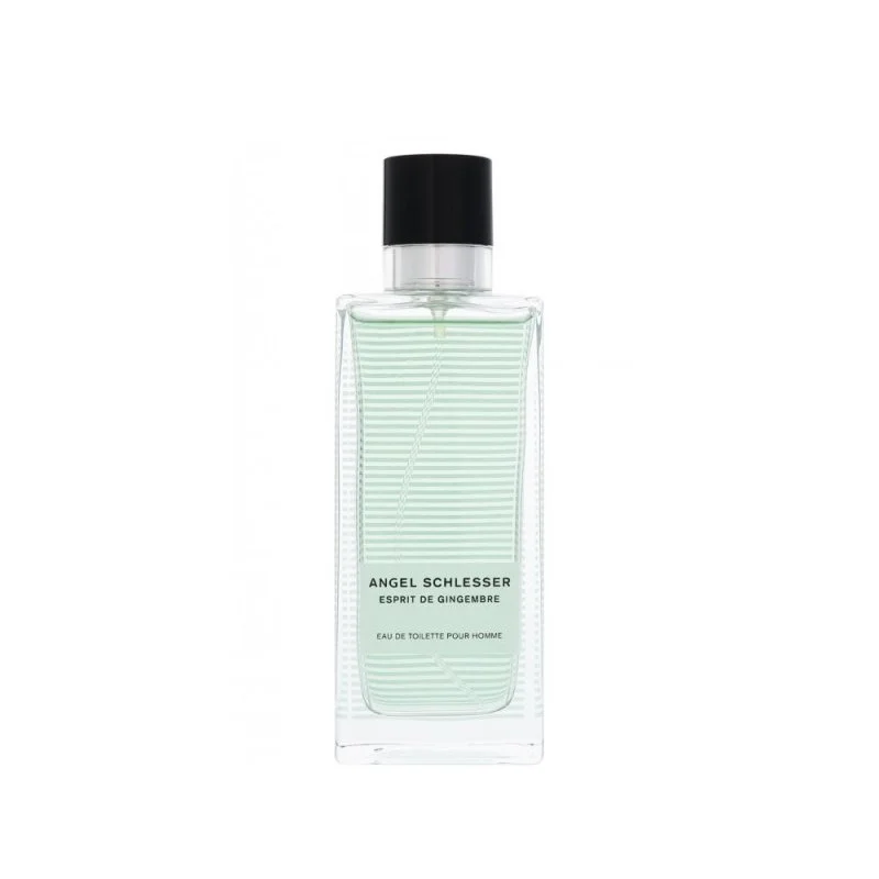 انجل شلیسر اسپریت د جینجمبر پور هوم مردانه - ANGEL SCHLESSER Esprit de Gingembre Pour Homme