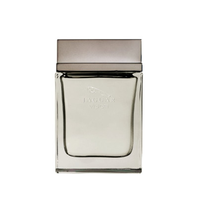 جگوار ویژن مردانه - JAGUAR Vision