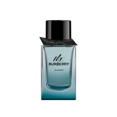 بربری مستر باربری المنت مردانه - BURBERRY Mr burberry Element