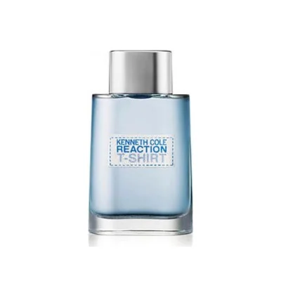 کنت کول ری اکشن تیشرت مردانه - Kenneth Cole Reaction T-Shirt