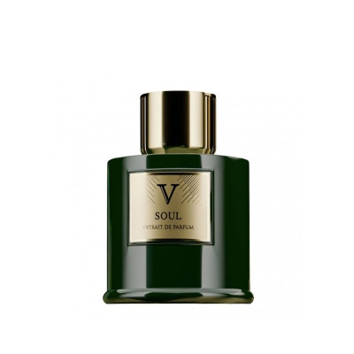 ویزاری سول مردانه - VIZZARI Soul