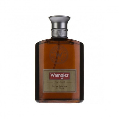 محصول رانگلر مردانه - Other  Wrangler