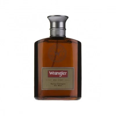 محصول رانگلر مردانه - Other  Wrangler