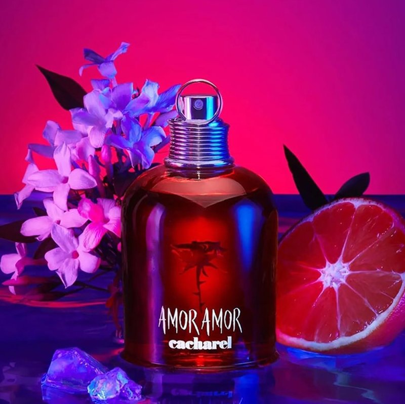cataloge of Amor Amor