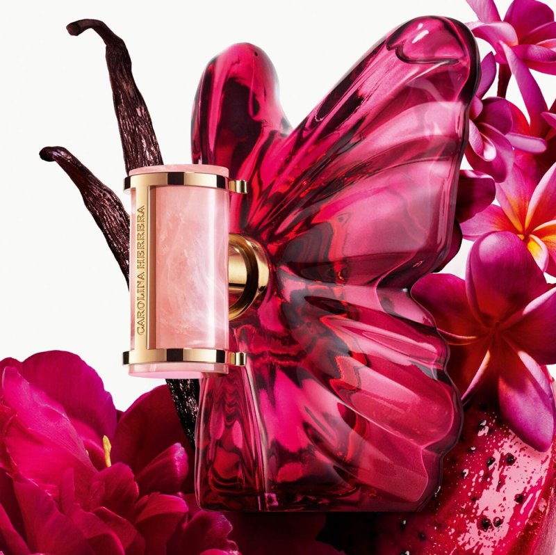 cataloge of La Bomba