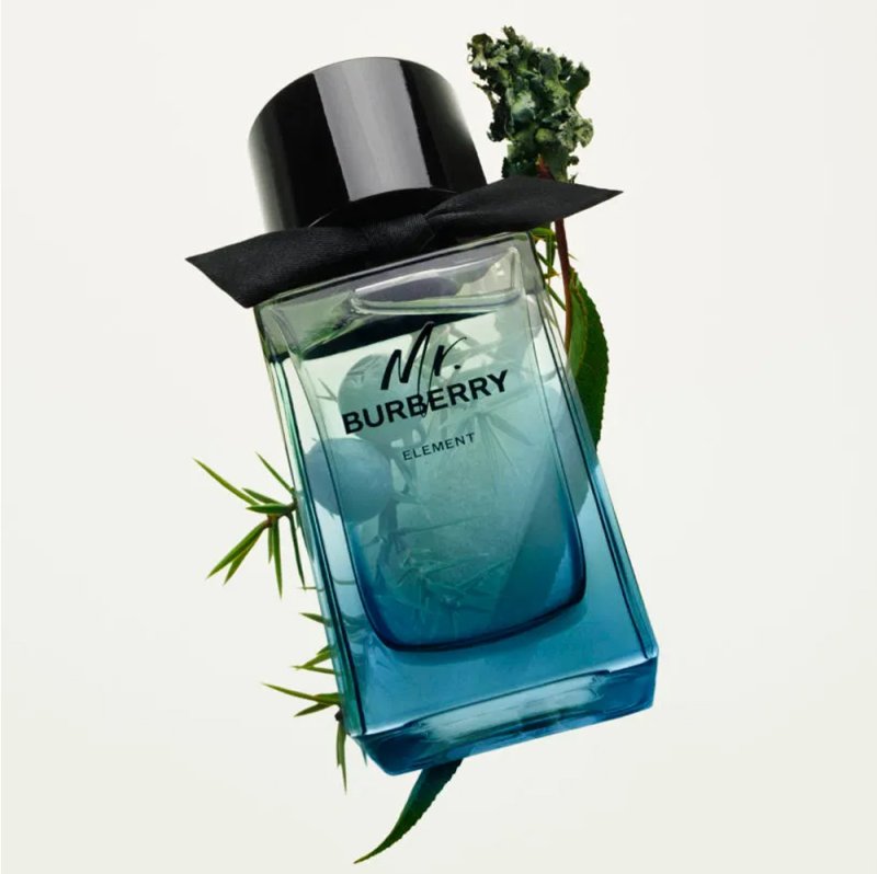 cataloge of Mr burberry Element