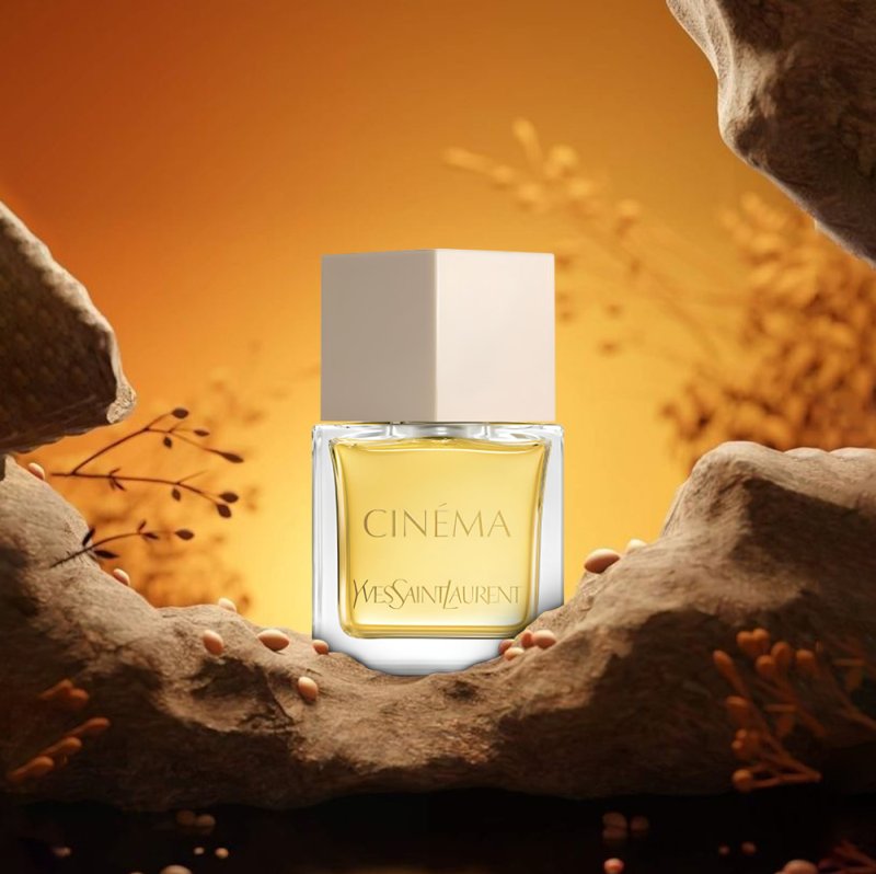 cataloge of Cinema 2024