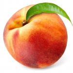 نمایش عطرهای دارای هلو - Peach