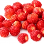 نمایش عطرهای دارای توت فرنگی وحشی - Wild Strawberry