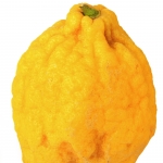 نمایش عطرهای دارای نوعی ترنج - Citron