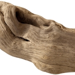 نمایش عطرهای دارای چوب خشک - Driftwood