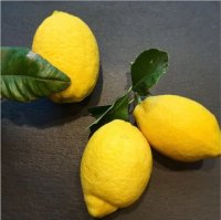 نمایش عطرهای دارای لیمو آمالفی - amalfi lemon