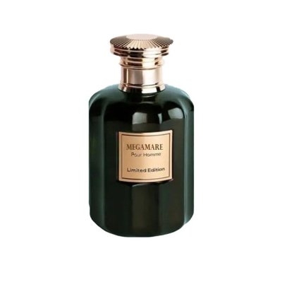 ویزاری مگاماره مردانه